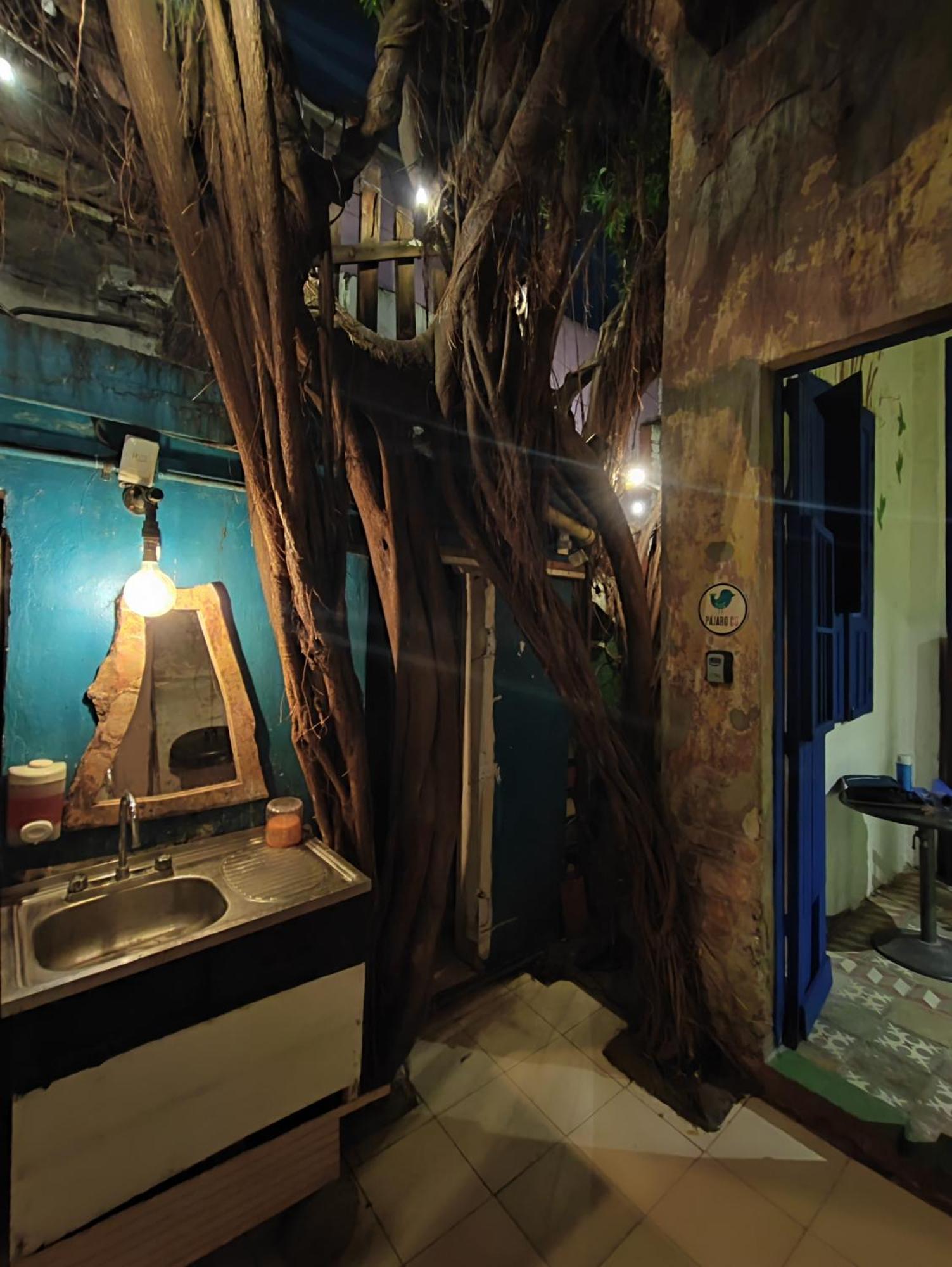 Chuchumbe Hotel & Hostal Veracruz Ngoại thất bức ảnh